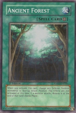 Ancient Forest.jpg
